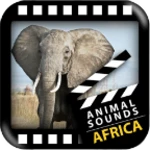 best african animals sound android application logo